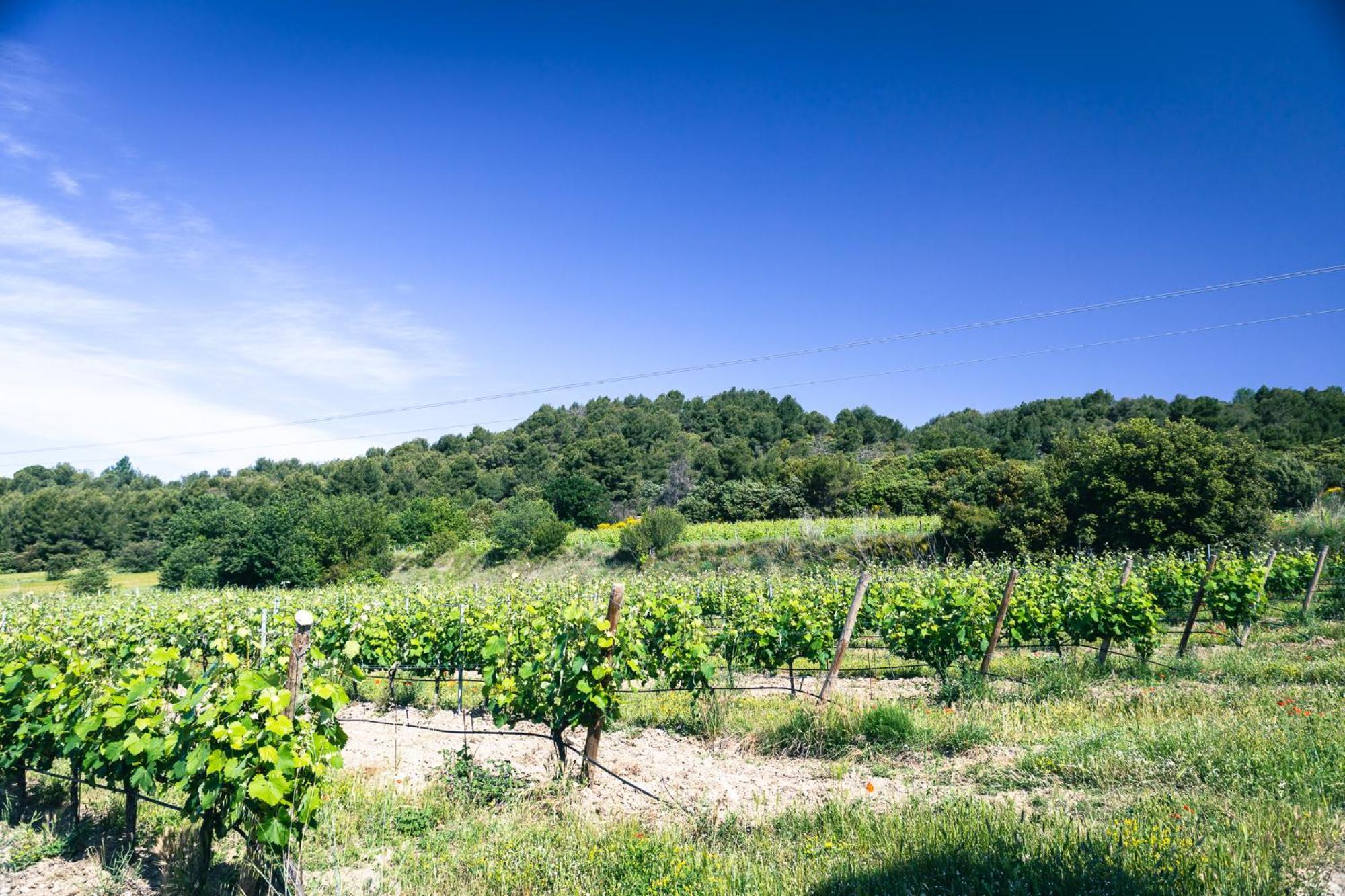 Domaine Des Peyre Lejlighed Robion en Luberon Eksteriør billede