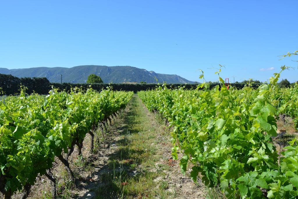 Domaine Des Peyre Lejlighed Robion en Luberon Eksteriør billede